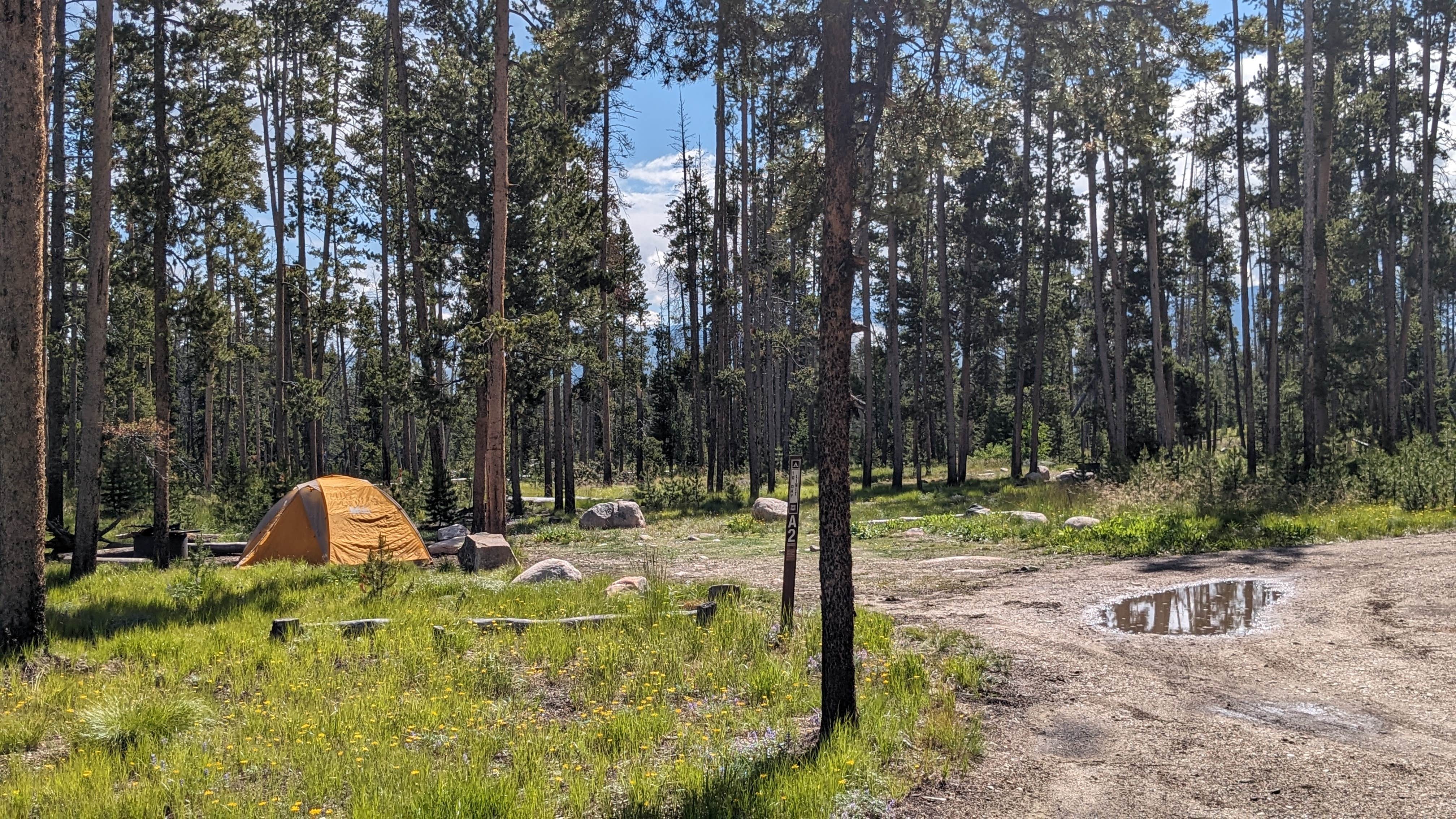 Camper-submitted photo at Iron Creek Camp on Forest Road 619 near Stanley, ID