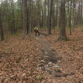 Review photo of Berryman Trail & Campgrounds - Mark Twain National Forest by Patti M., October 19, 2018