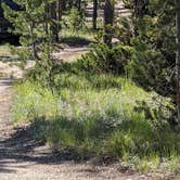 Review photo of Iron Creek Camp on Forest Road 619 by Greg L., June 28, 2023