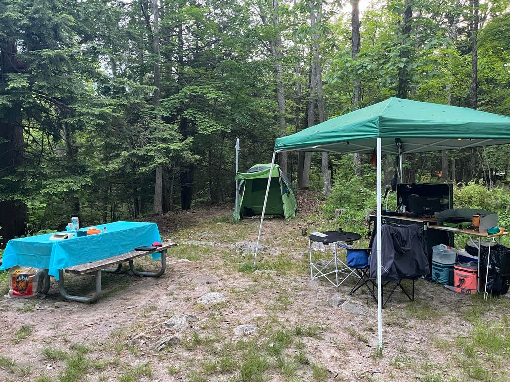 Camper-submitted photo at Steam Mill Campground near Wallpack Center, NJ
