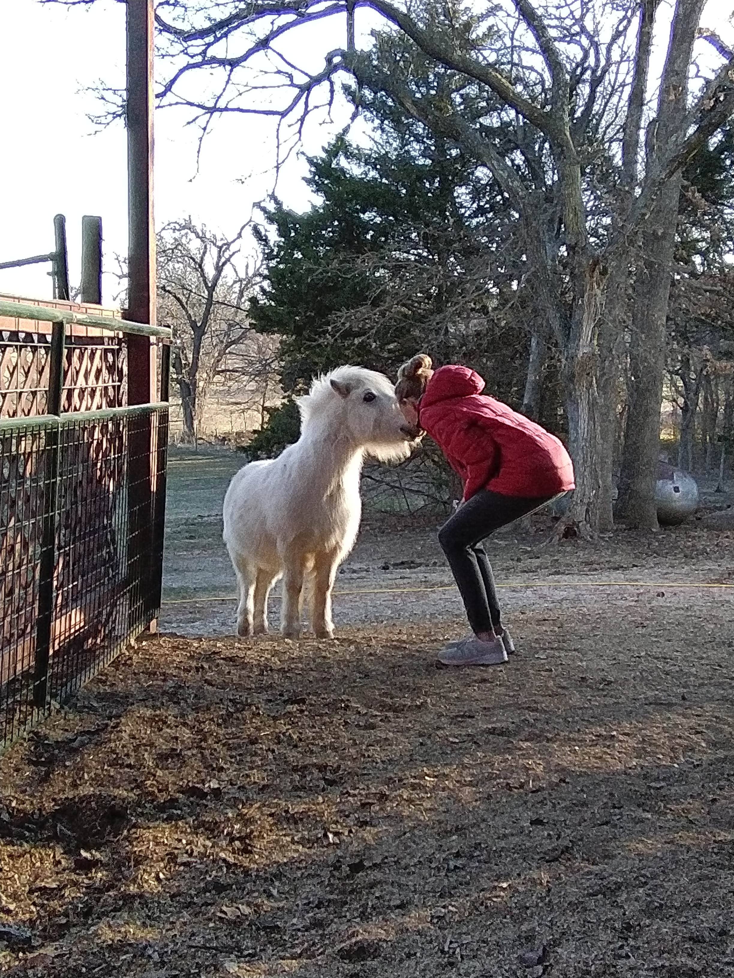 Camper-submitted photo at Mana Farm Davis near Davis, OK
