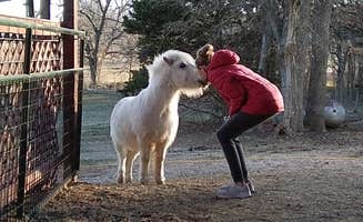 Destiny W.'s photo of camping with pets at Mana Farm Davis near Sulphur, OK