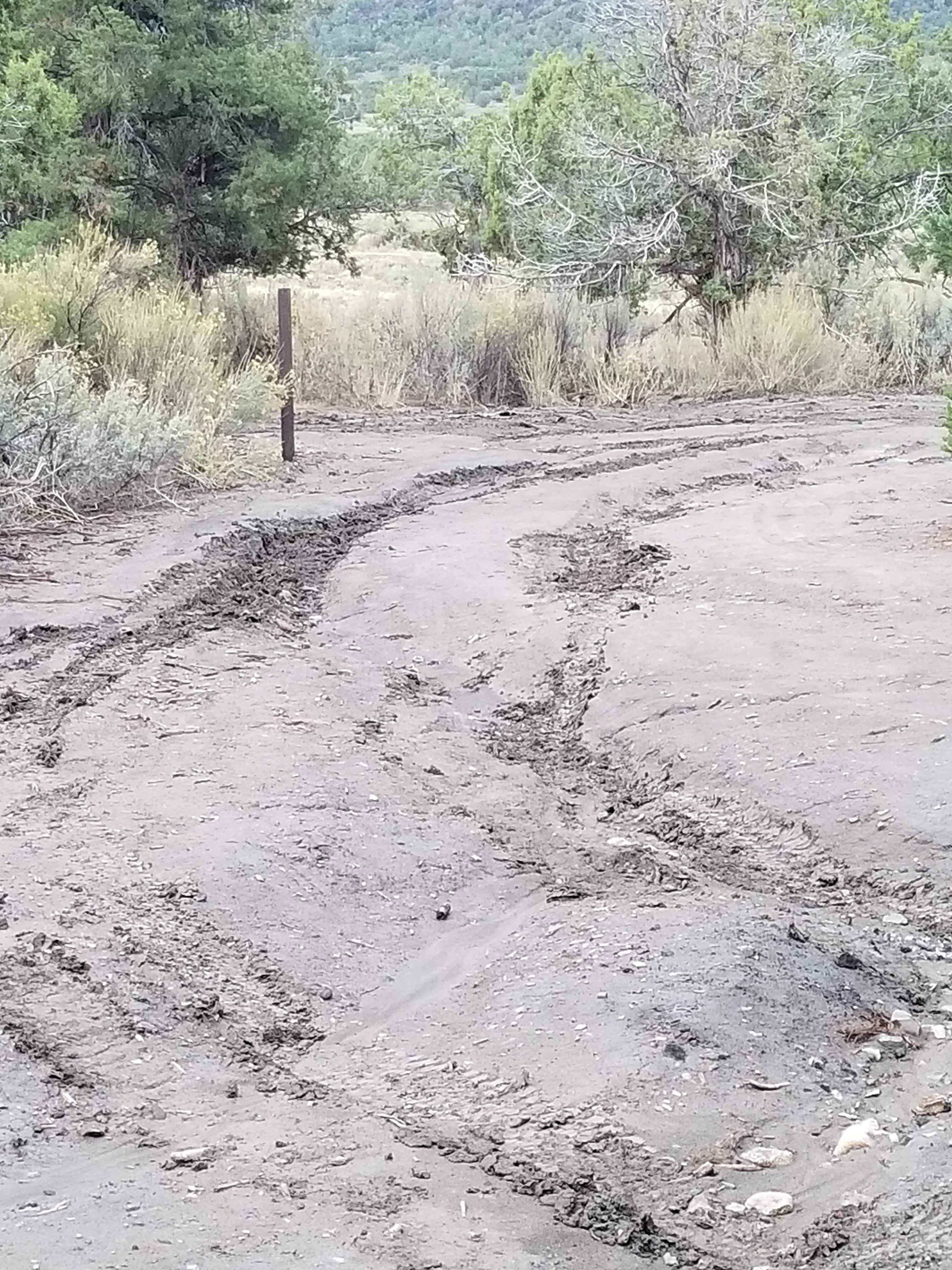 Camper-submitted photo at Mesa Verde National Park Boundary (BLM Land) near Shiprock, NM
