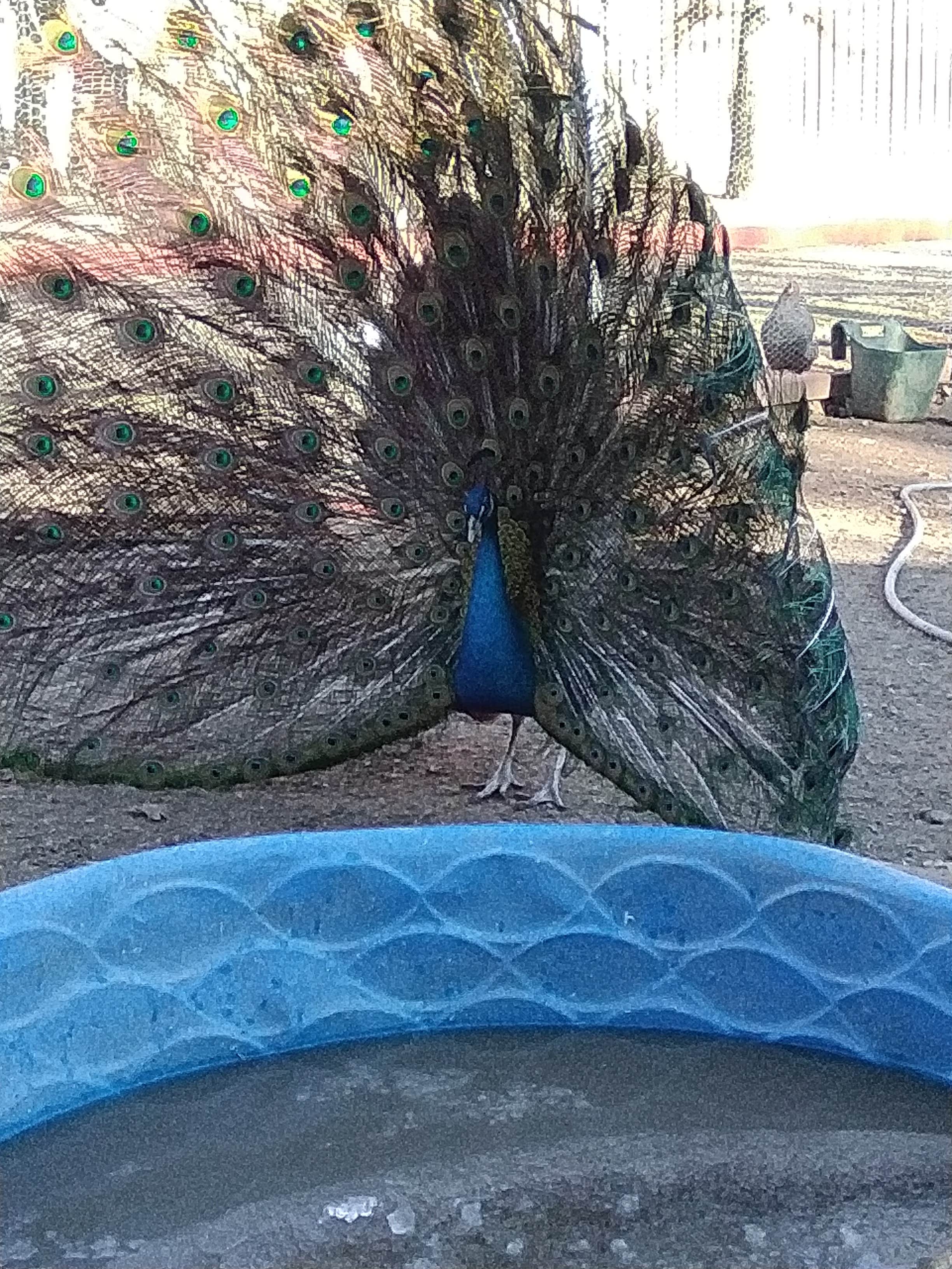 Camper-submitted photo at Mana Farm Davis near Davis, OK