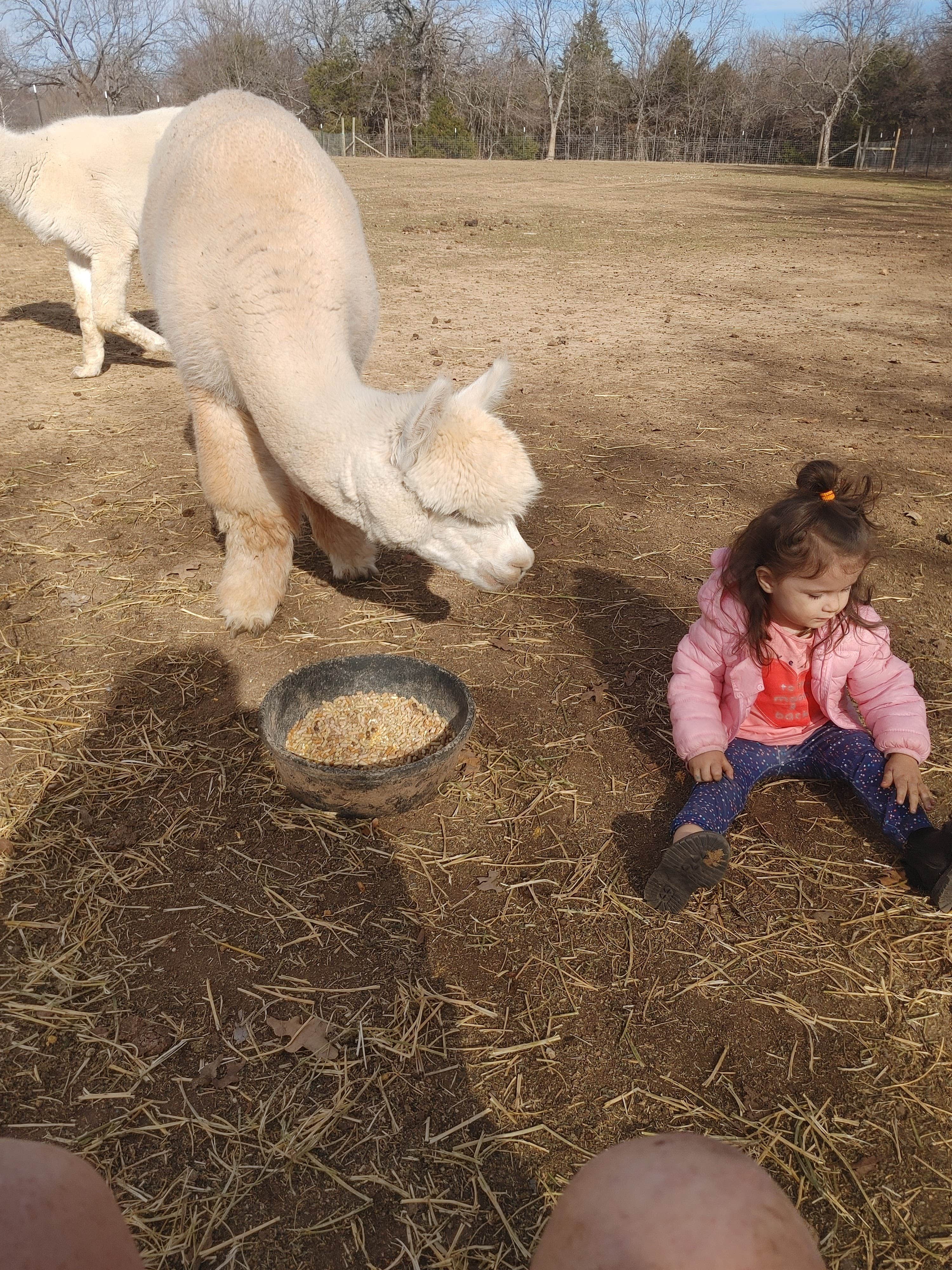 Camper-submitted photo at Mana Farm Davis near Davis, OK