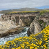 Review photo of Islay Creek Campground — Montaña de Oro State Park by Jessie F., June 28, 2023