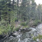 Review photo of West Fork Dispersed by Scott O., June 28, 2023