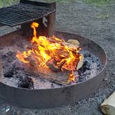 Review photo of Hoh Campground — Olympic National Park by Dominic J., June 28, 2023