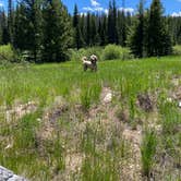 Review photo of Rock Creek Trailhead by Sarah L., June 28, 2023