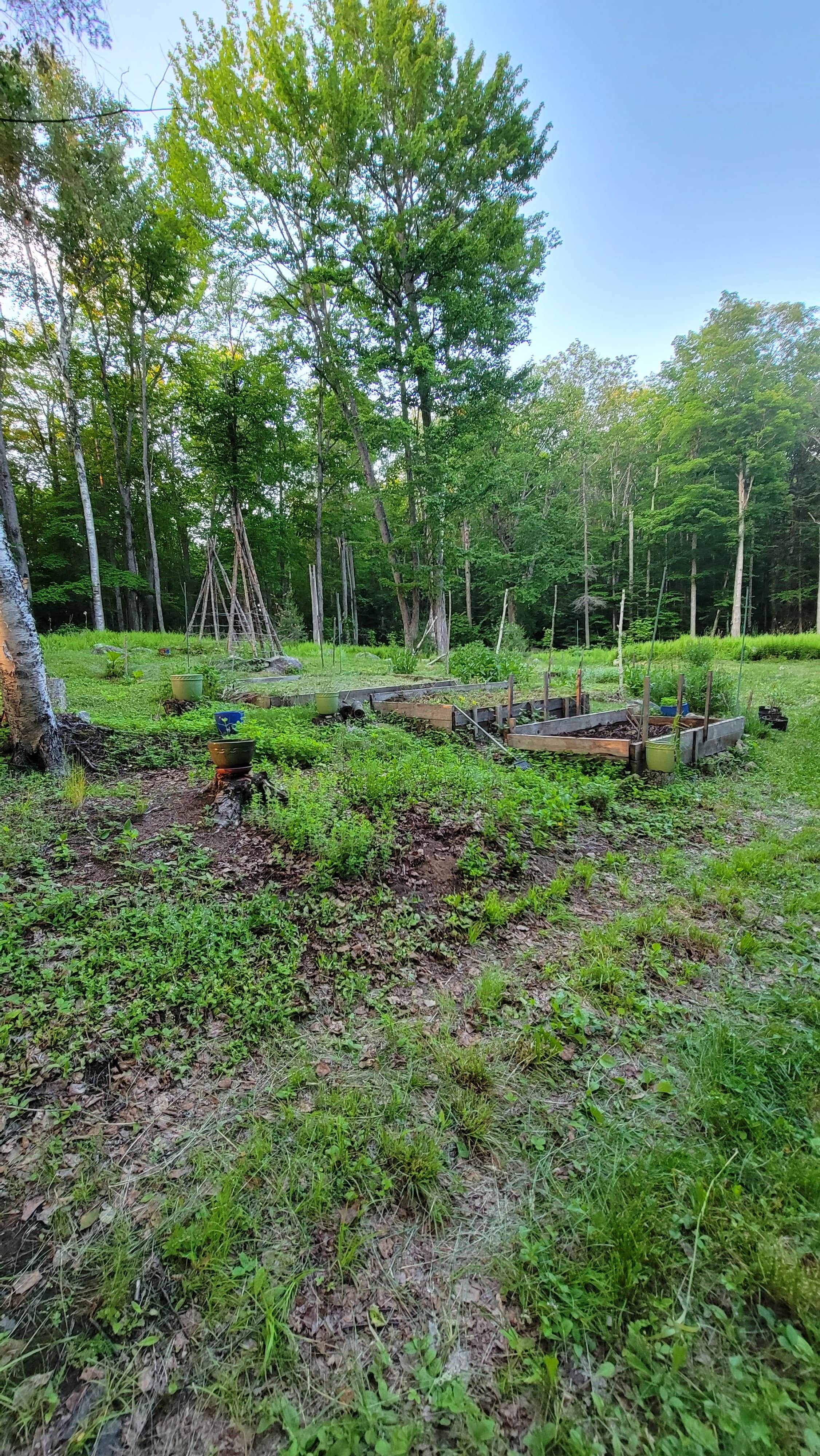 Camper-submitted photo at Great North Woods Farm near Errol, NH