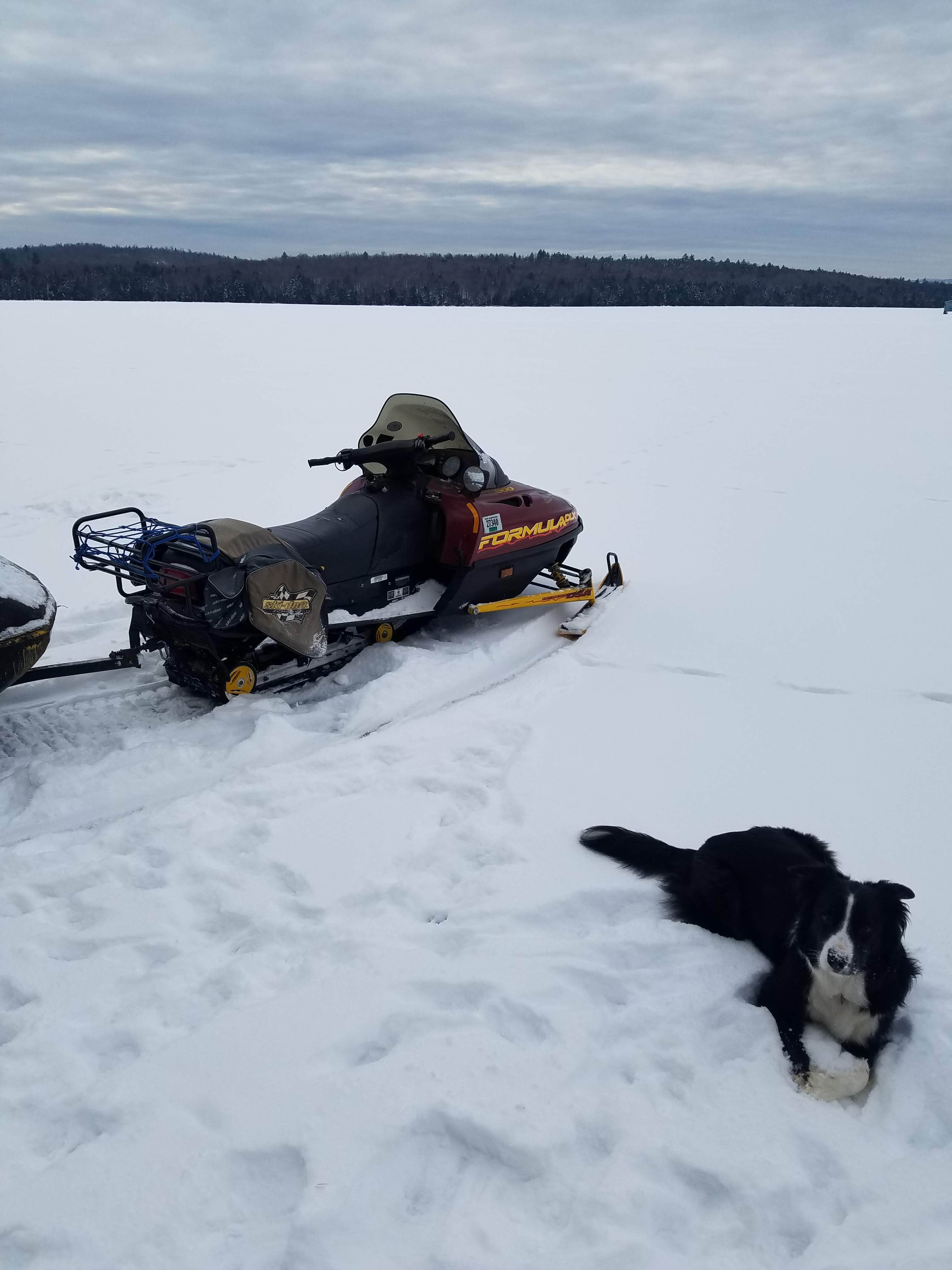 Farmer B.'s photo of camping with pets at Great North Woods Farm near Rumford, ME