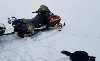 Farmer B.'s photo of camping with pets at Great North Woods Farm near Dixfield, ME