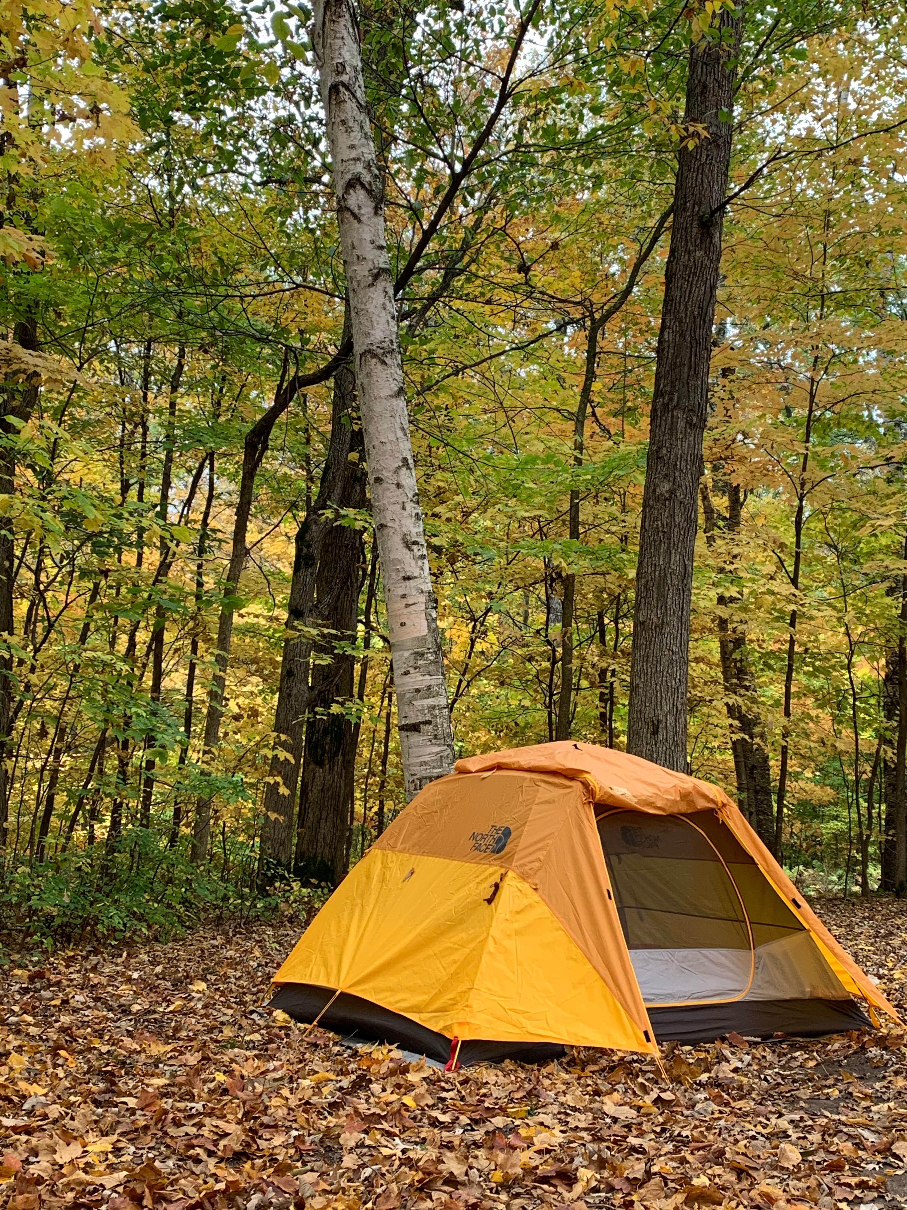 Camper submitted image from Glen Hills Park Campground - 3