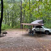 Review photo of Lake Wissota State Park Campground by Mike R., June 29, 2023