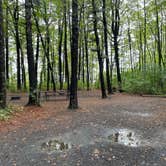 Review photo of Lake Wissota State Park Campground by Mike R., June 29, 2023