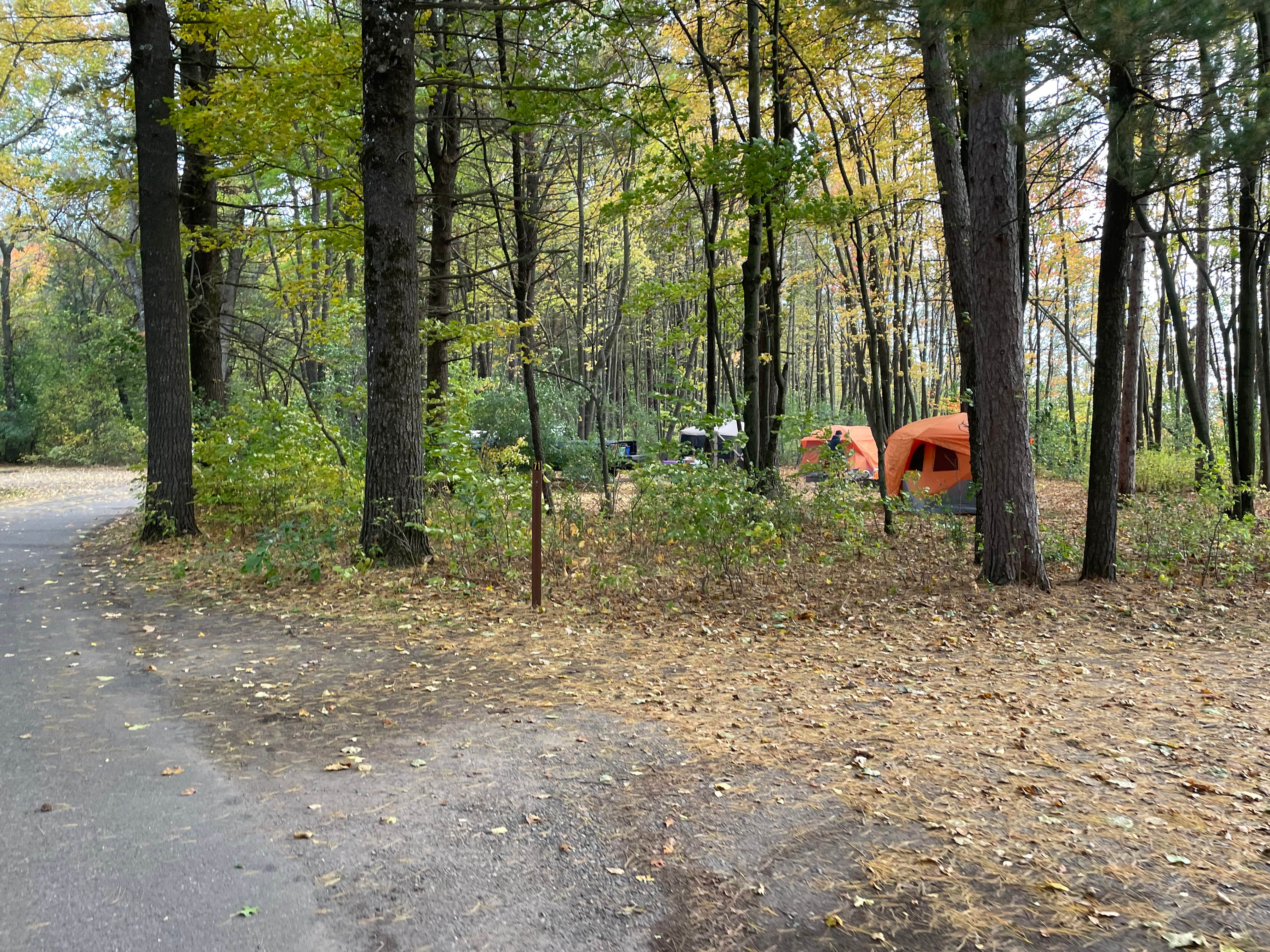 Mike R.'s photo at Lake Wissota State Park Campground near Eau Claire, WI