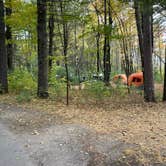 Review photo of Lake Wissota State Park Campground by Mike R., June 29, 2023