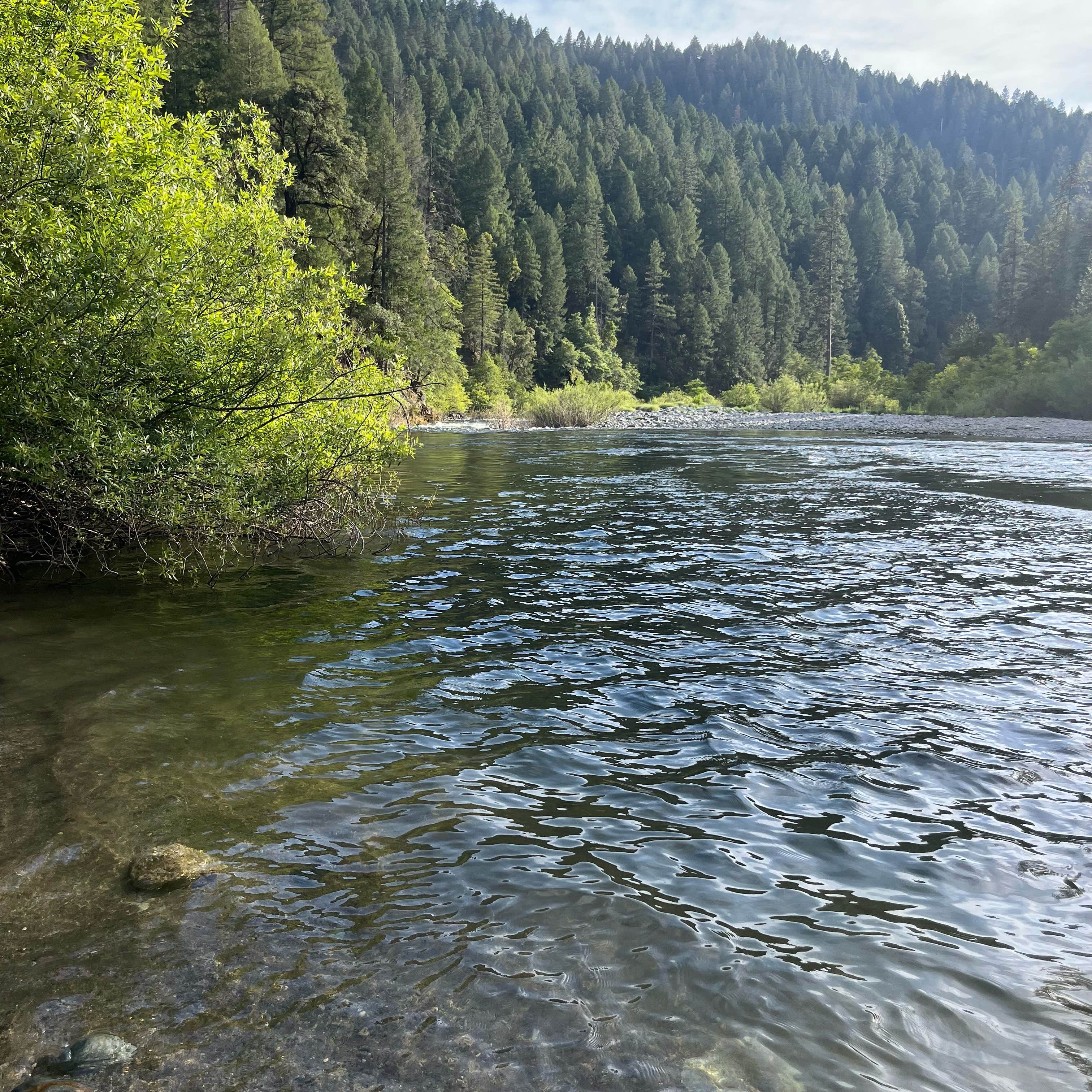 Camping near The House of 13 Rainbows: Rocky Rest, Goodyears Bar, California