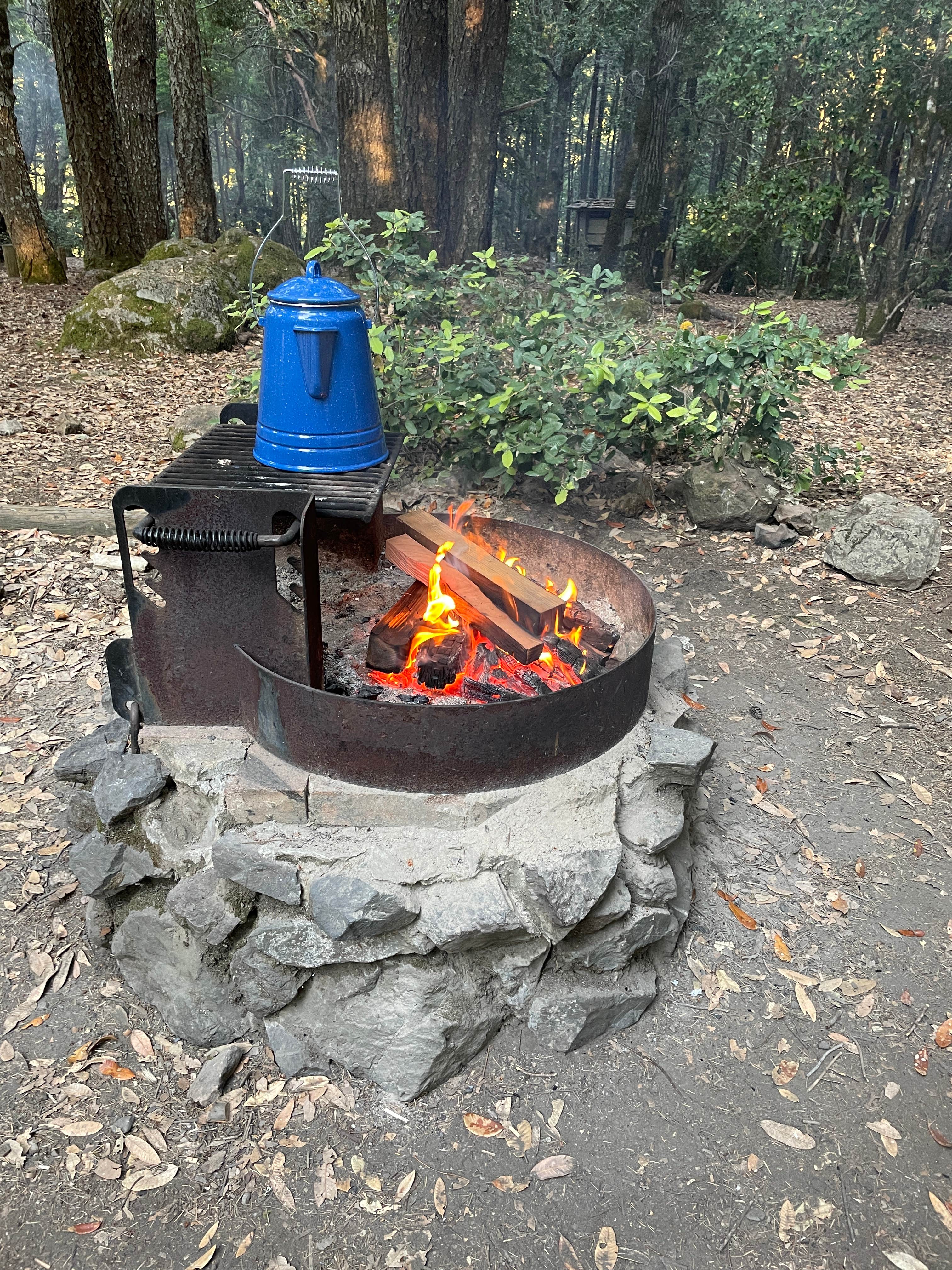 Camper-submitted photo at Tolkan Campground near King Range National Conservation Area