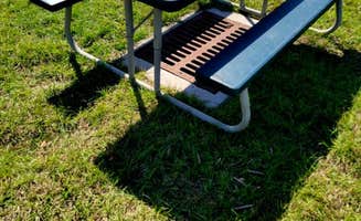 Kathryn H.'s photo of camping with pets at Linger Lodge RV Park & Restaurant near Nokomis, FL