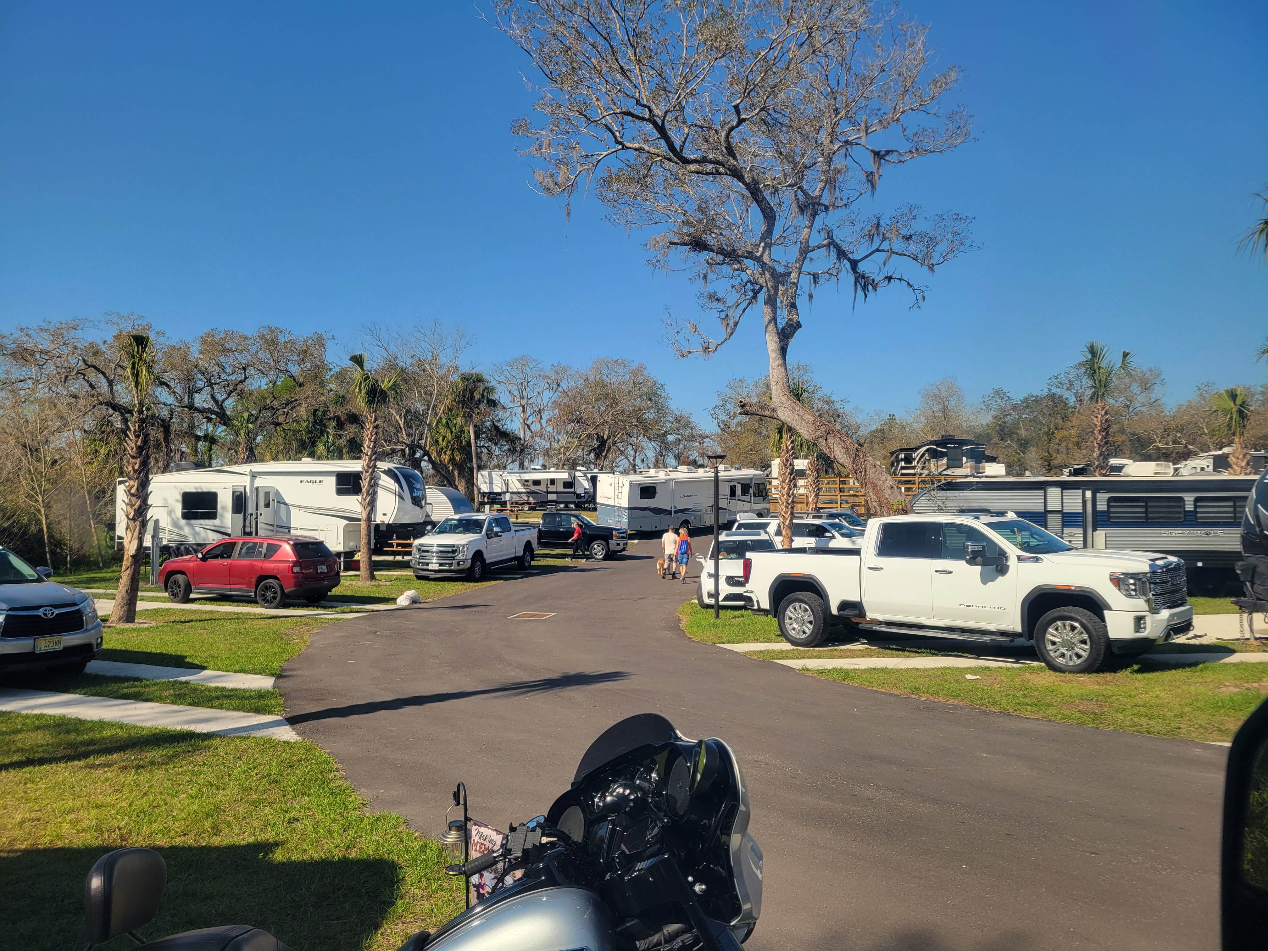 Kathryn H.'s photo of rv camping at Linger Lodge RV Park & Restaurant near Bradenton, FL