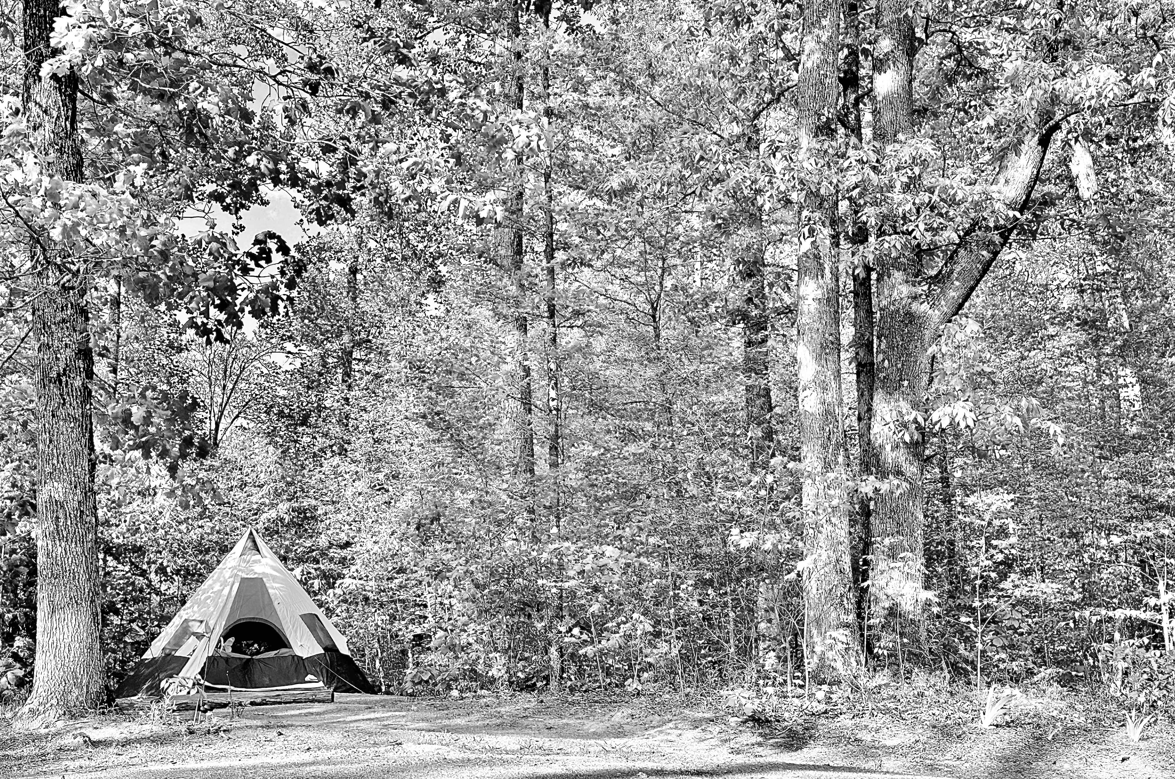 Camper submitted image from Watercress Inn at Landon Farm - 3