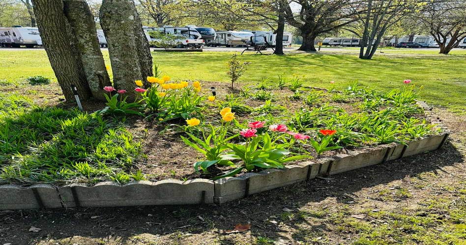 Shady Oaks RV Resort