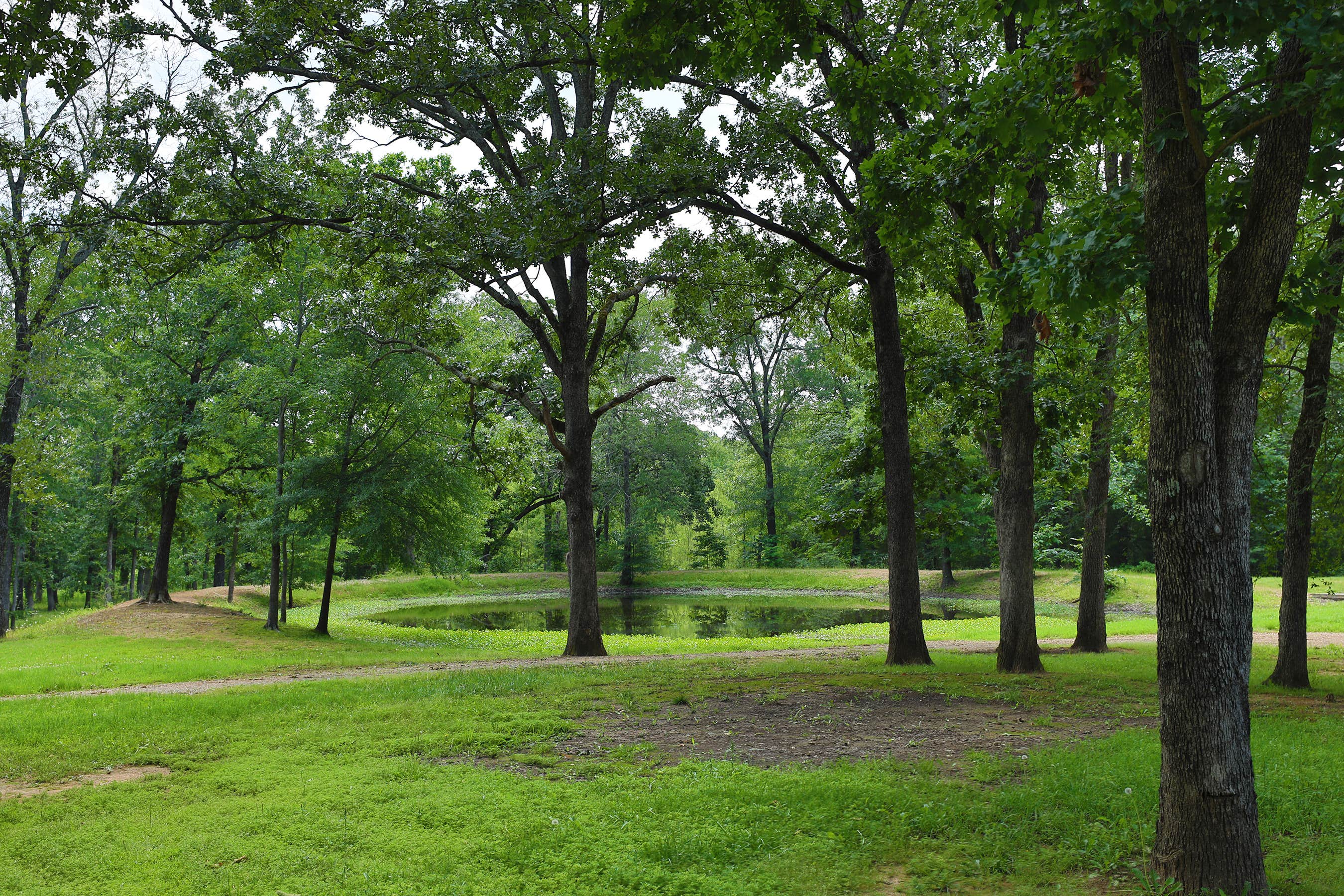 Camper-submitted photo at Shady Oaks RV Resort near Telephone, TX