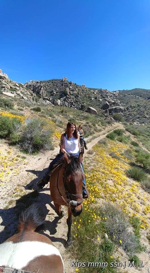 Camping near Big Pine Flat Campground: Oak Springs Ranch Campground, Green Valley Lake, California