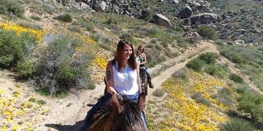 Camper submitted image from Oak Springs Ranch Campground