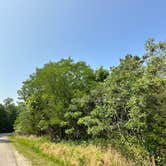 Review photo of Canoe Landing Group Campsite — James River State Park by RL , June 29, 2023