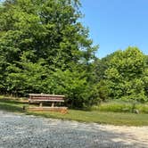 Review photo of Canoe Landing Group Campsite — James River State Park by RL , June 29, 2023