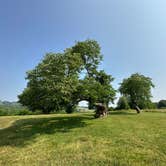 Review photo of Canoe Landing Group Campsite — James River State Park by RL , June 29, 2023