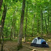 Review photo of Canoe Landing Group Campsite — James River State Park by RL , June 29, 2023