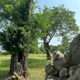 Review photo of Canoe Landing Group Campsite — James River State Park by RL , June 29, 2023