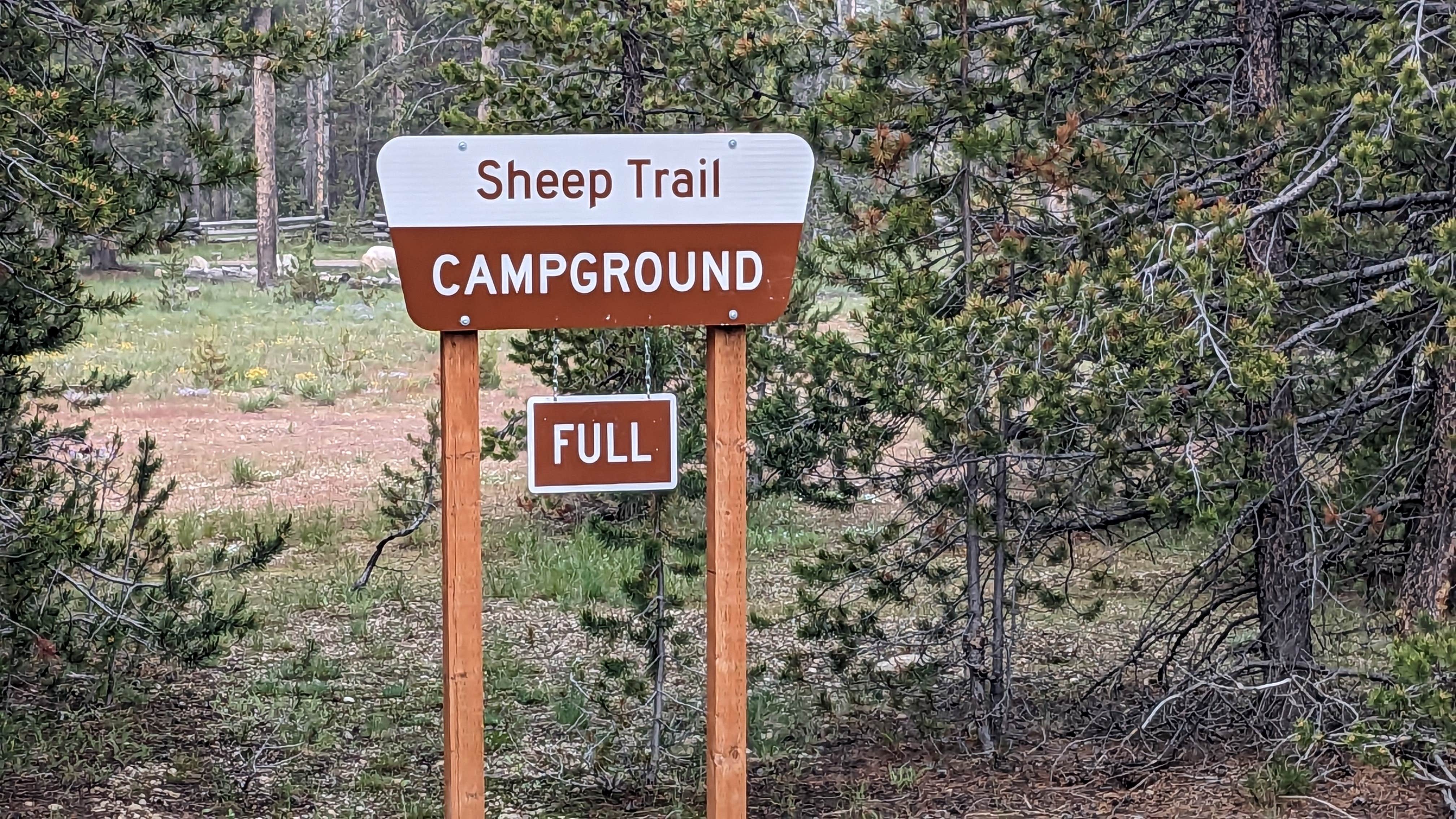 Camper submitted image from Sheep Trail Group Campground - 3