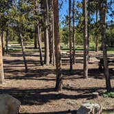 Review photo of Sheep Trail Group Campground by Greg L., June 29, 2023