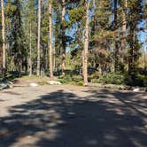 Review photo of Sheep Trail Group Campground by Greg L., June 29, 2023