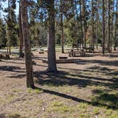 Review photo of Sheep Trail Group Campground by Greg L., June 29, 2023