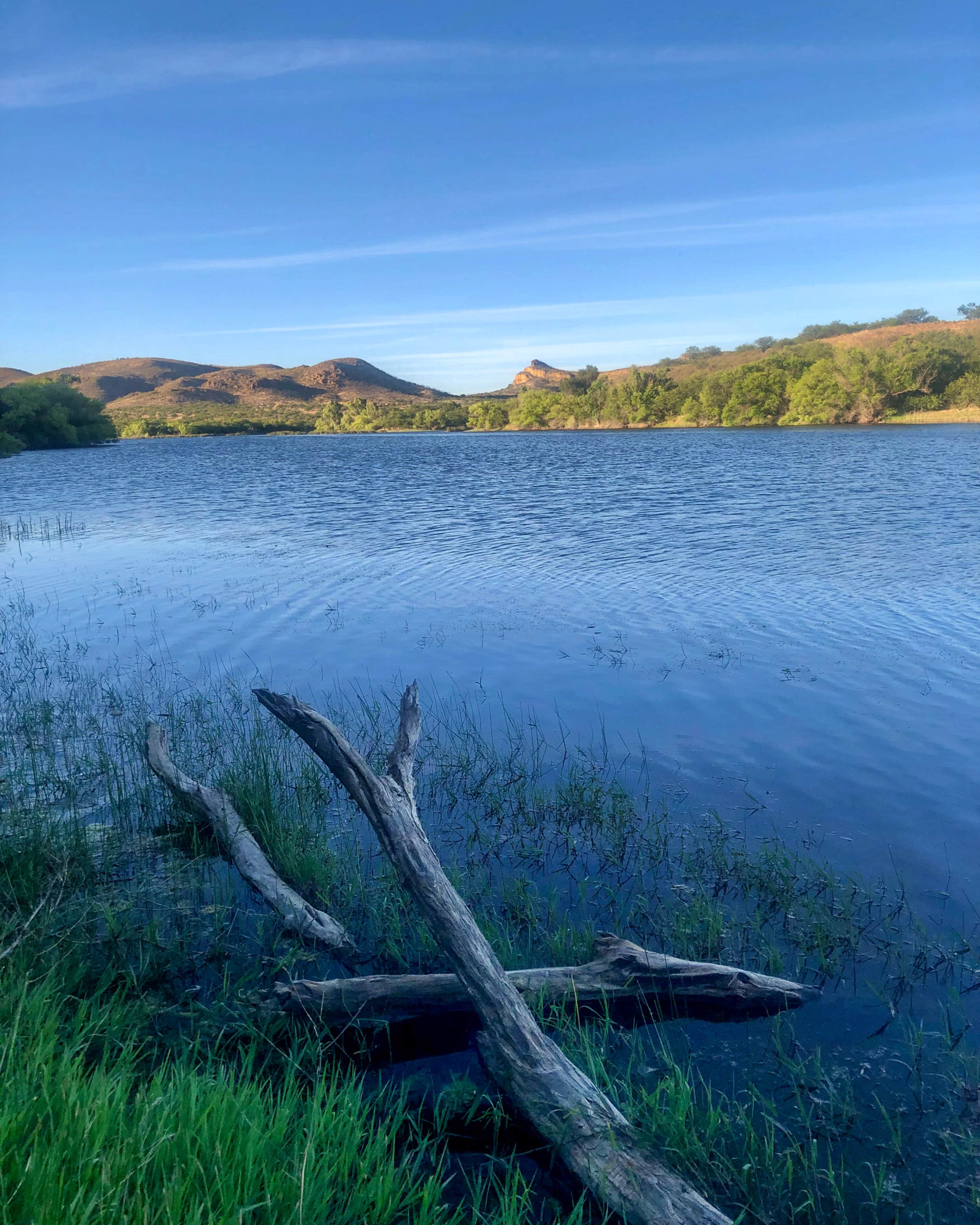 Camper-submitted photo at Exception Ranch near Arivaca, AZ
