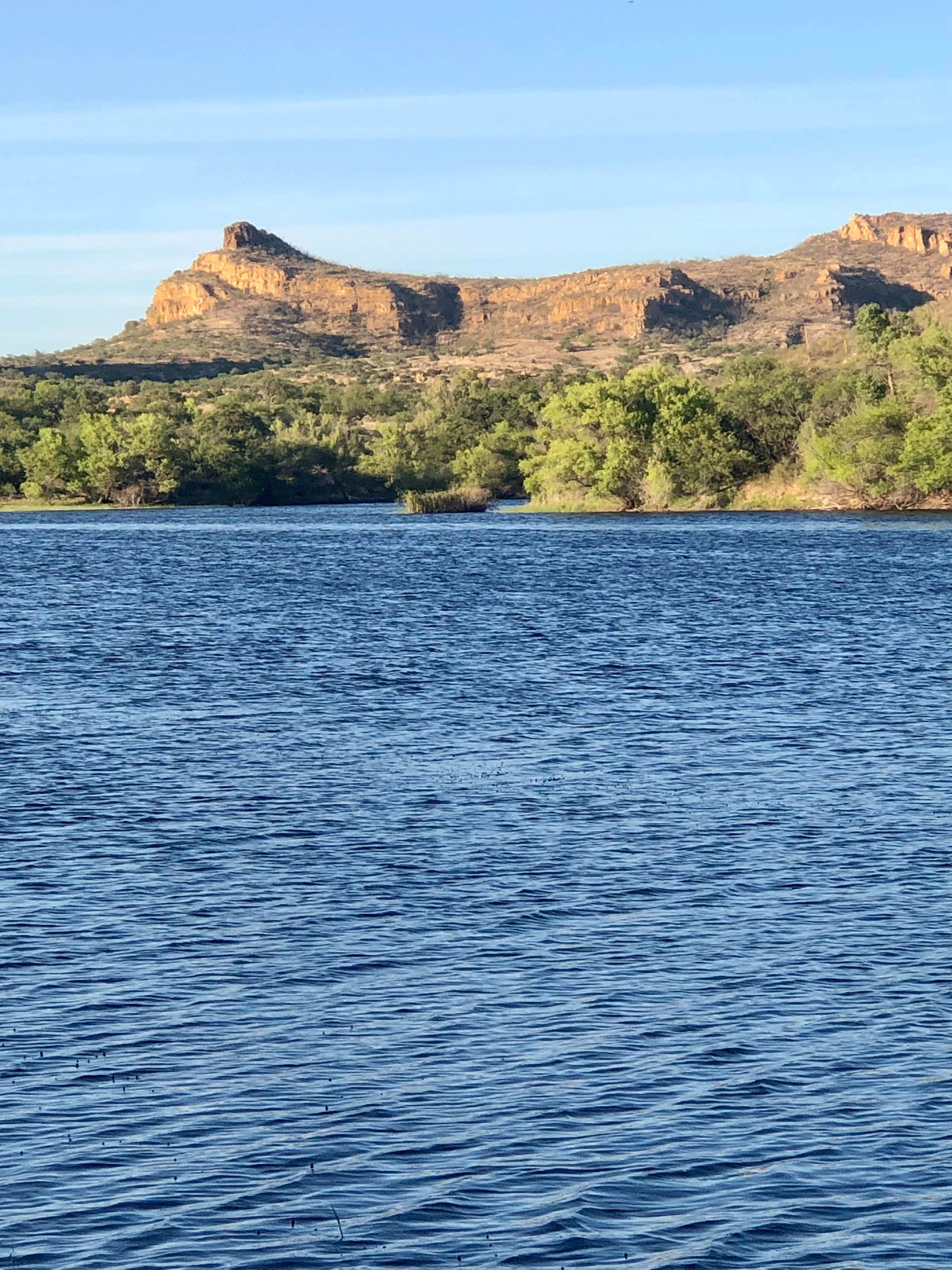 Camper-submitted photo at Exception Ranch near Arivaca, AZ