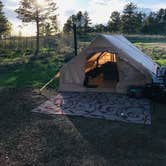 Review photo of Forest Service Road 700 Designated Dispersed Camping by April W., June 29, 2023