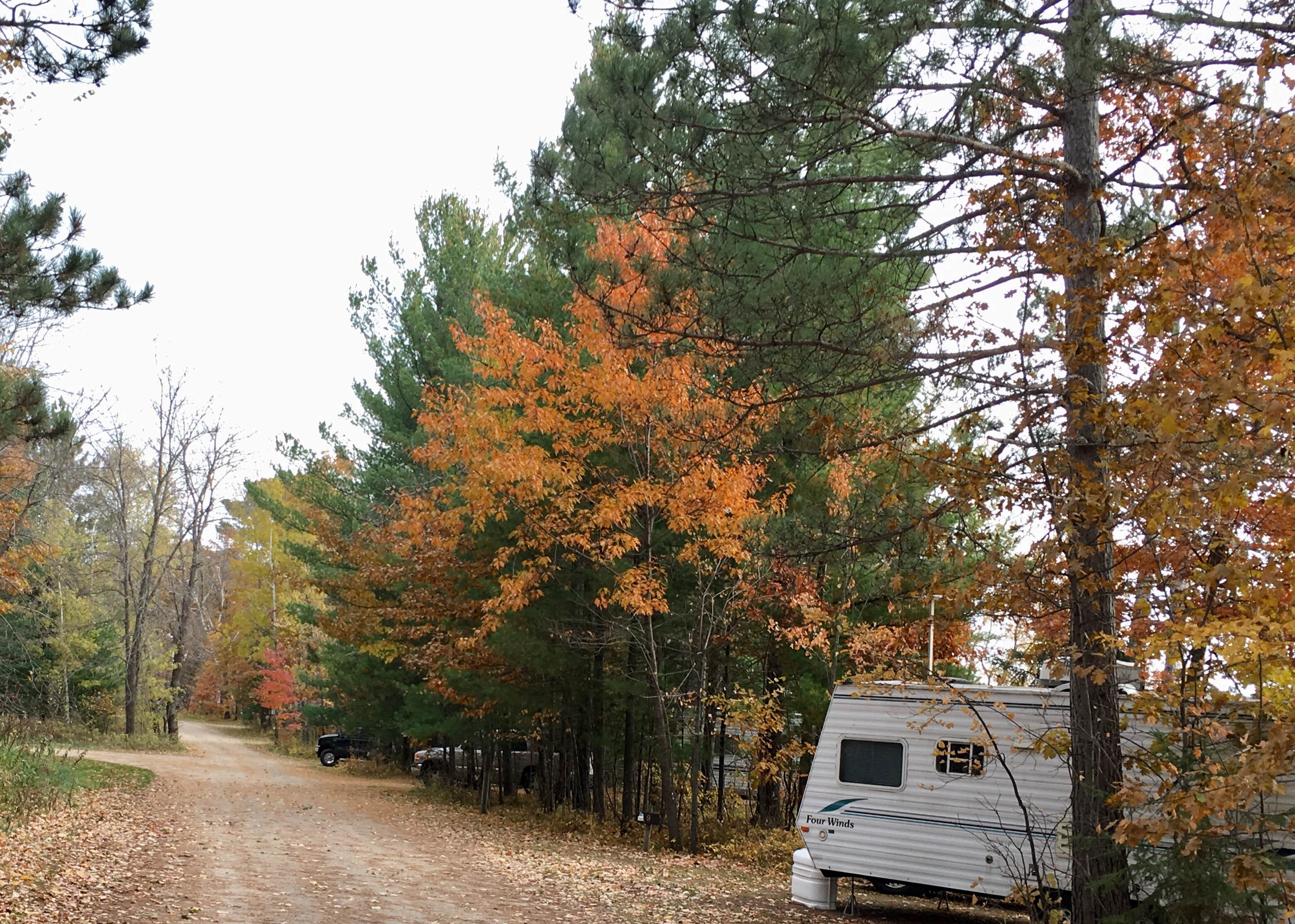 Janet R.'s photo of rv camping at Rock Lake near Staples, MN