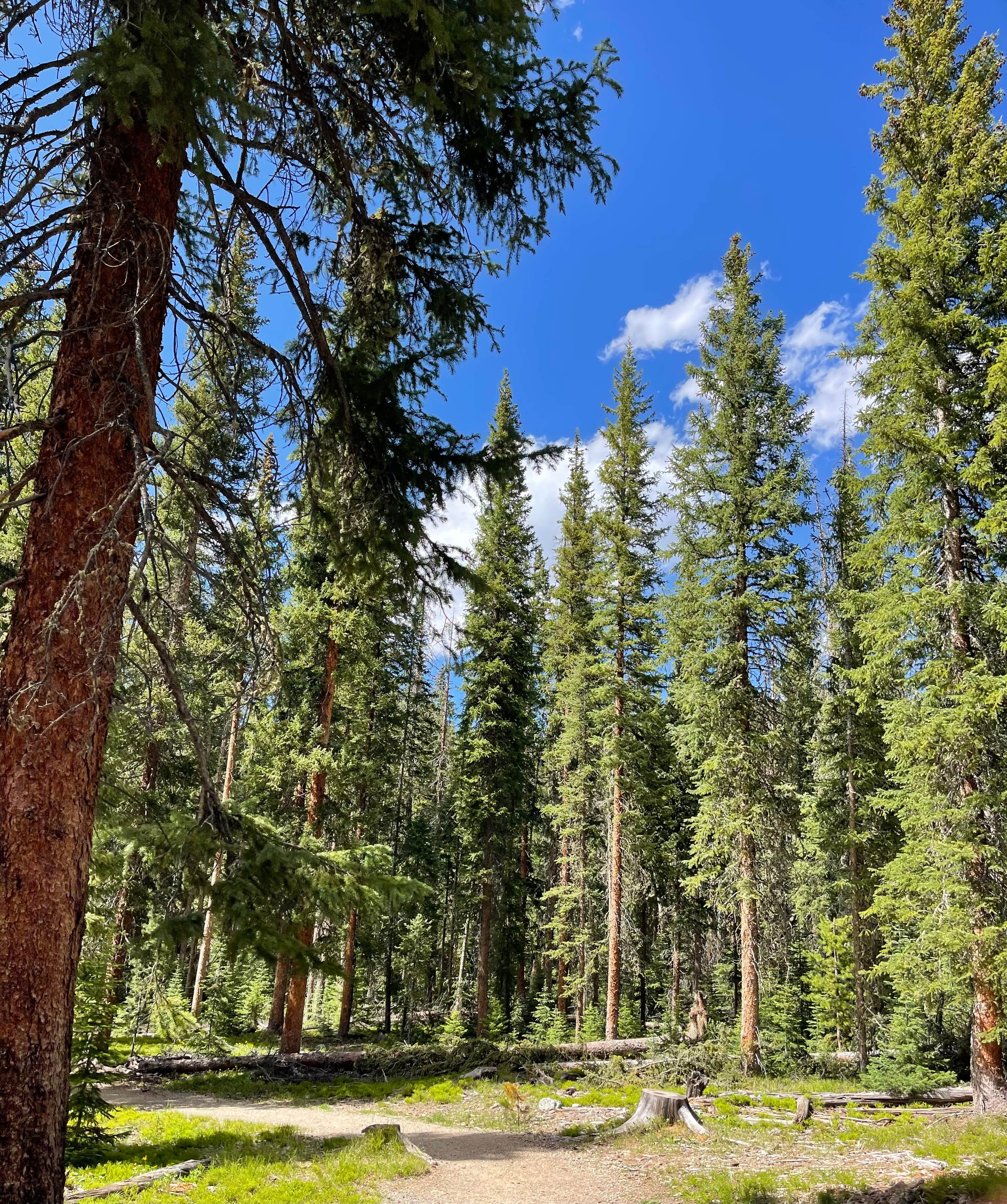 Camper-submitted photo at North Michigan Campground — State Forest State Park near Gould, CO