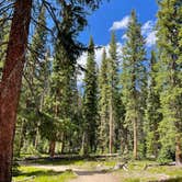 Review photo of North Michigan Campground — State Forest State Park by Jennifer O., June 29, 2023