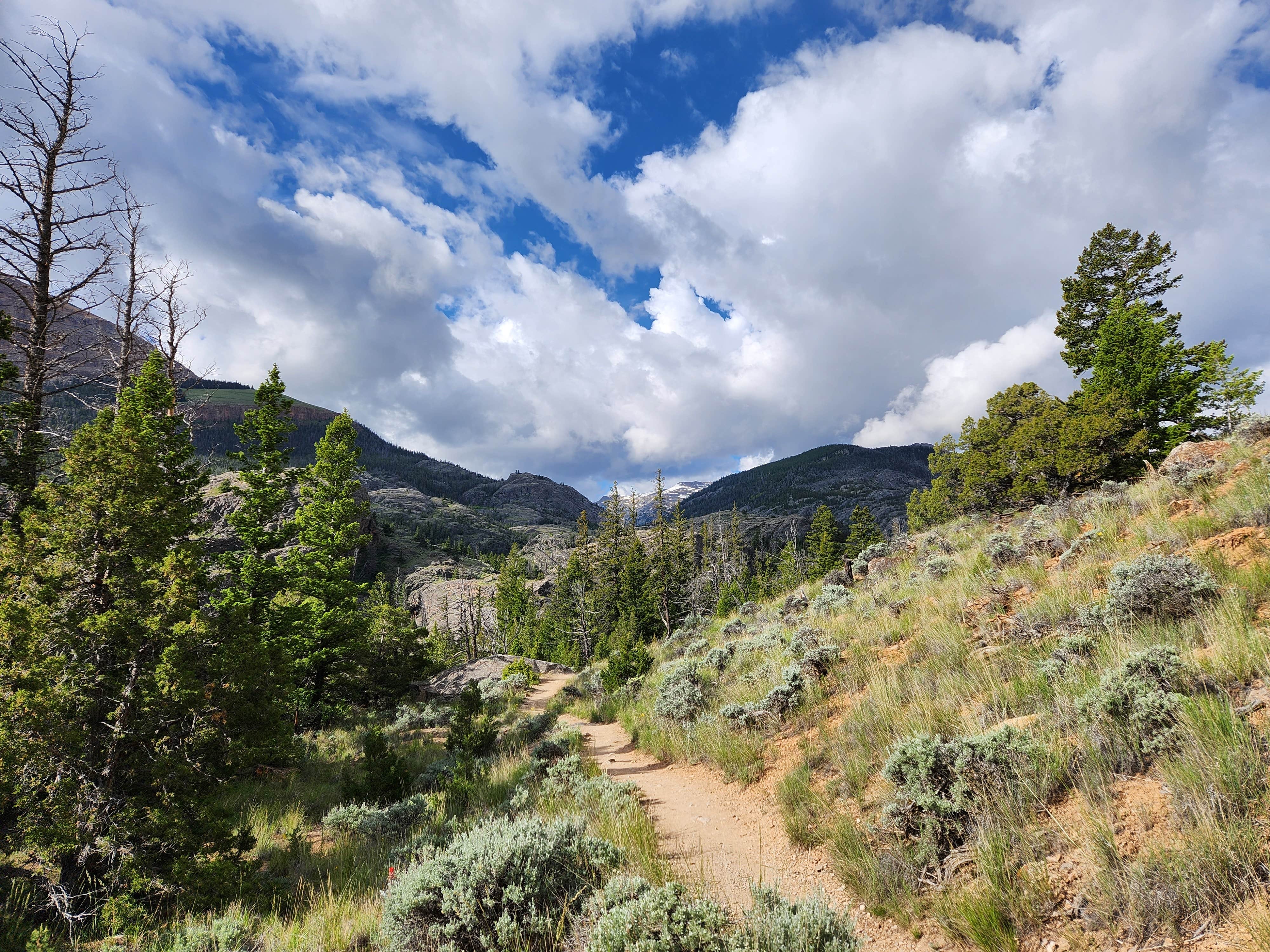 lee's photo of a dispersed camping area at Glacier Trailhead Campsites in Fitzpatrick Wilderness Area near Pinedale, WY