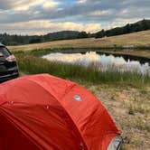 Review photo of Shooting Star Sanctuary and Retreat near Yosemite National Forest by Lyla M., June 29, 2023