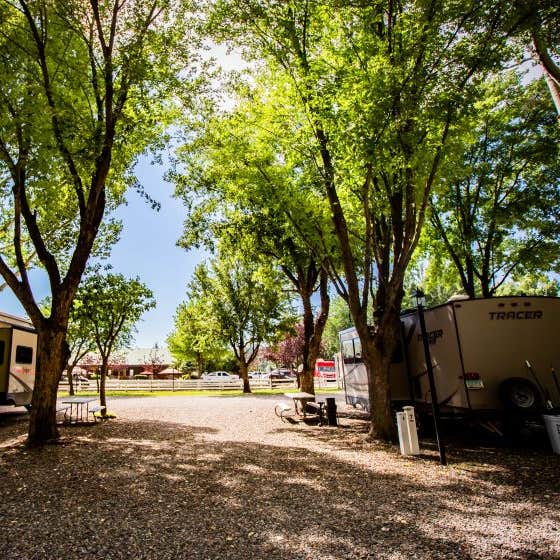 Munds Park RV Resort Camping The Dyrt