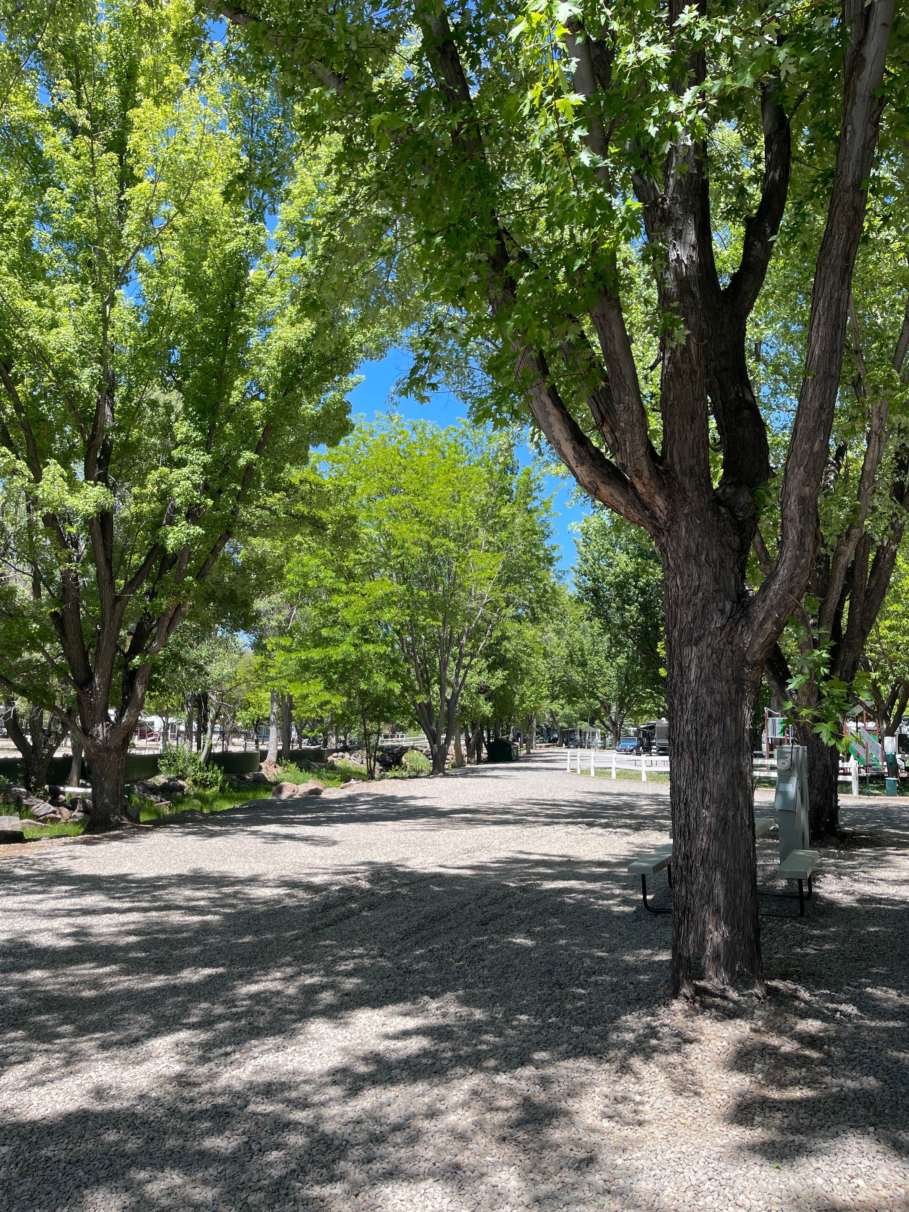Camper-submitted photo at Munds Park RV Resort near Sedona, AZ