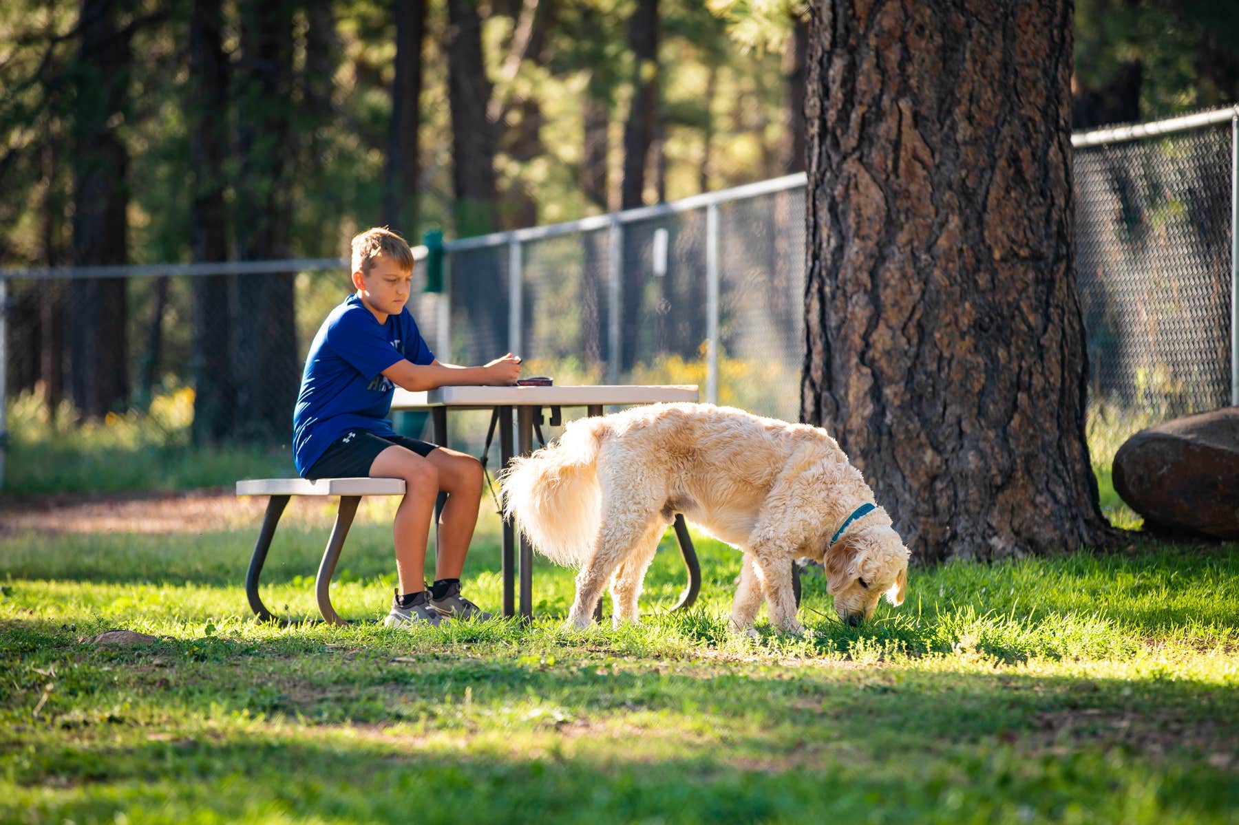Claire G.'s photo of camping with pets at Munds Park RV Resort near Coconino National Forest